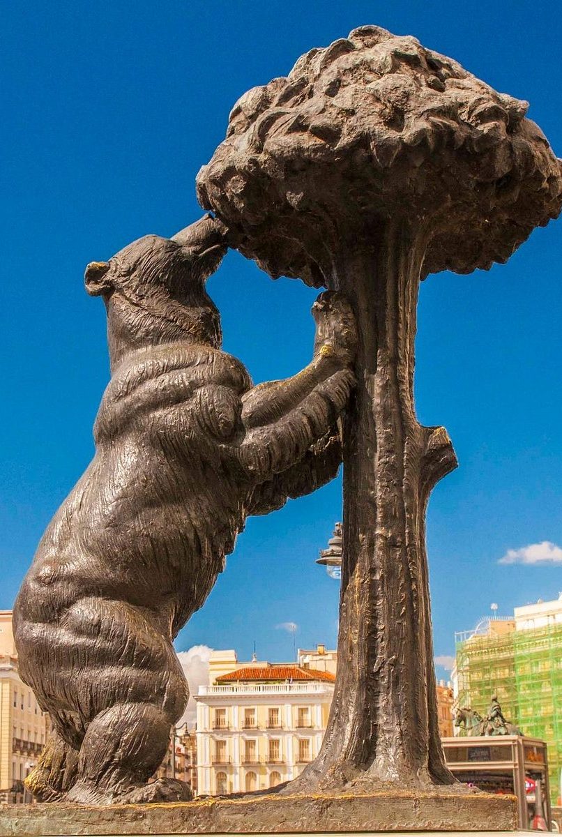 el-oso-y-el-madrono-madrid
