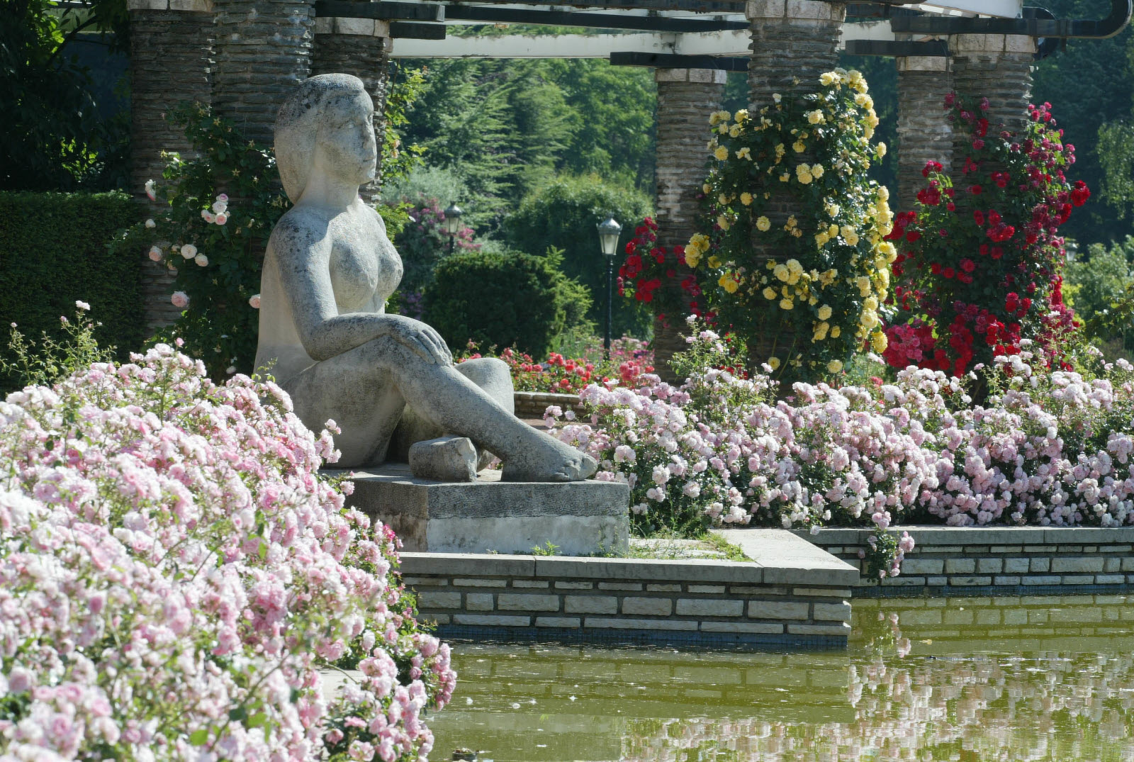 la-roseraie-du-parc-de-la-tete-d-or-a-50-ans-photo-archives-le-progres-1422546751